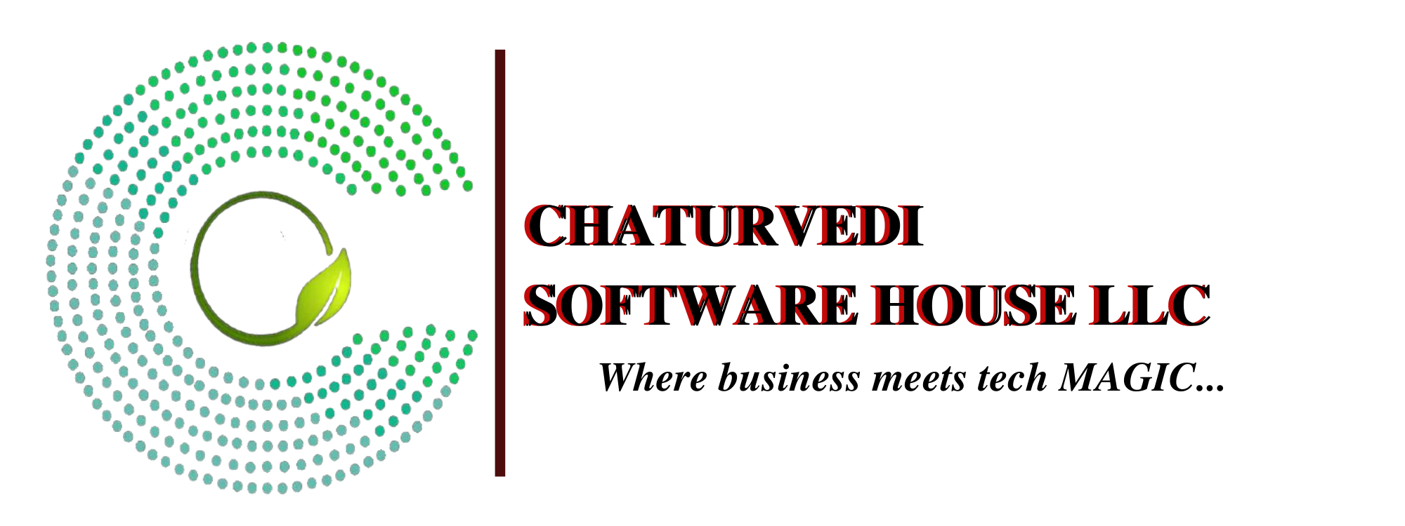 CHATURVEDI SOFTWARE HOUSE LLC- logo